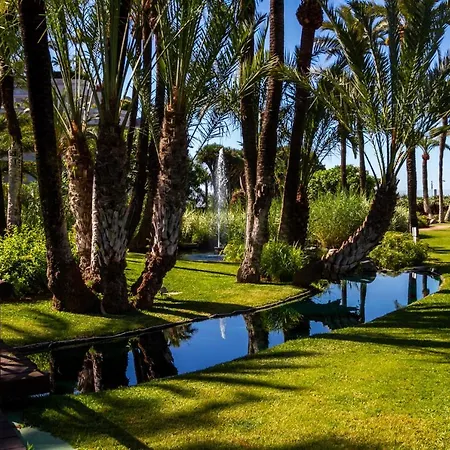 Banus - Bird Of Paradise Playas Del Duque Banus Marbella